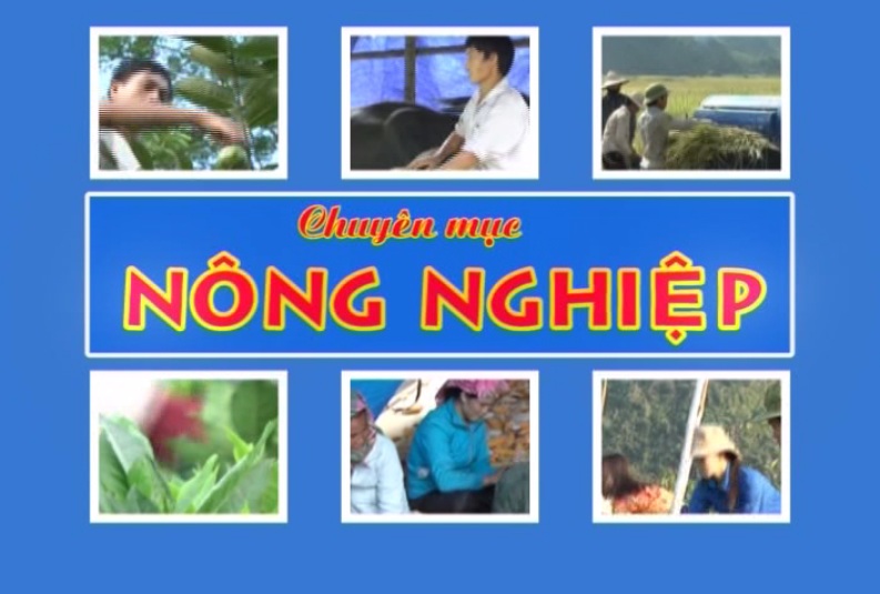 Nông Nghiệp Ngày 2/11/2017