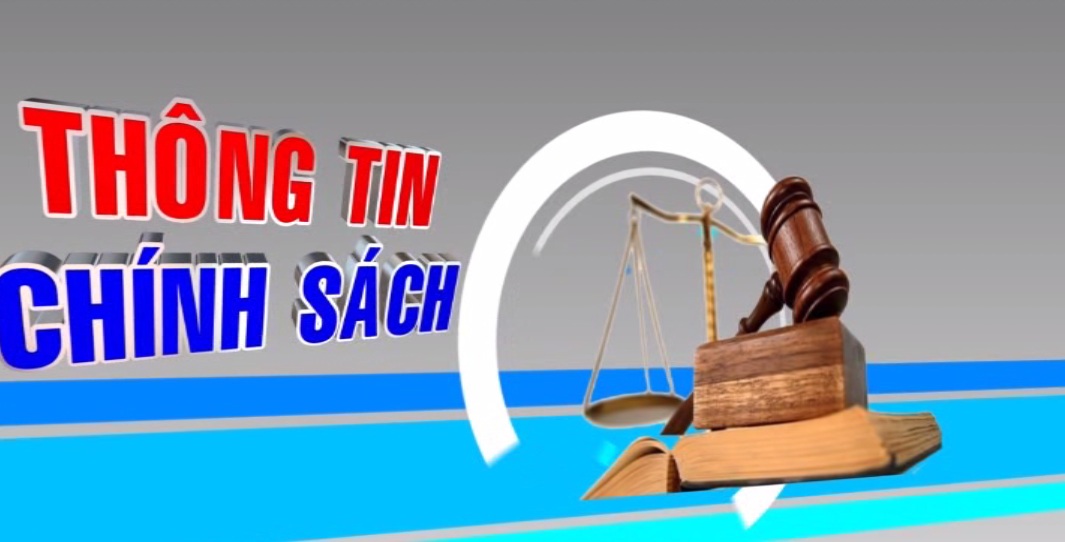 Thông tin chính sách ngày 29-11-2017