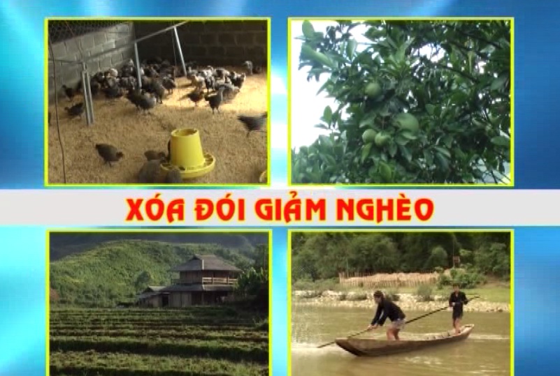 Xóa đói giảm nghèo ngày 8-12-2017