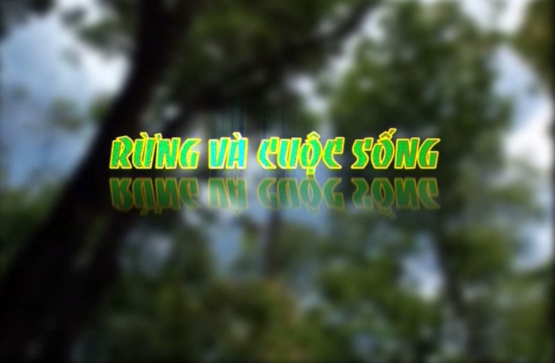 Rừng và cuộc sống ngày 9/12/2017