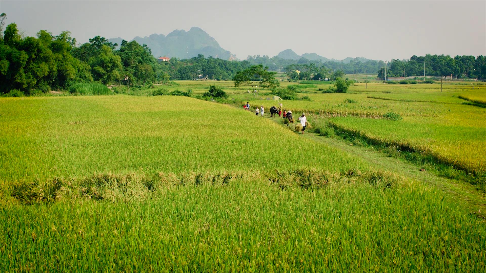 Thông điệp nhà vệ sinh