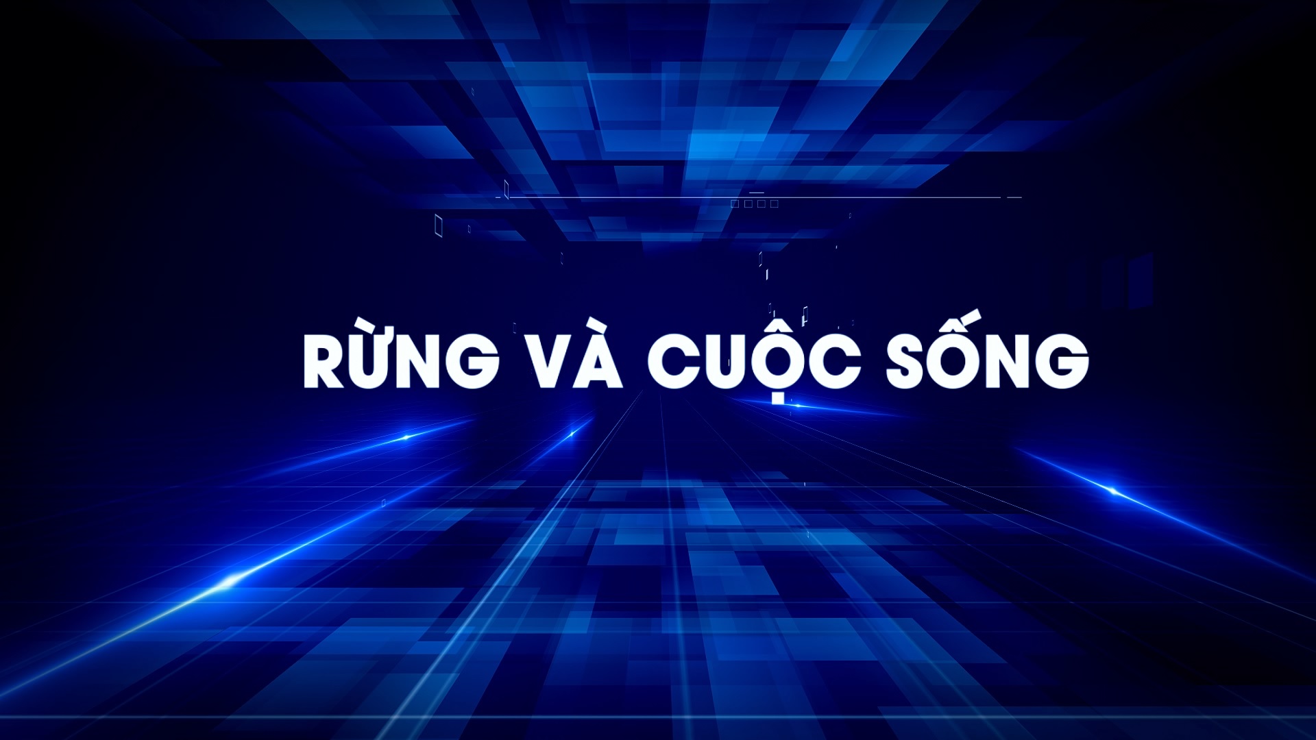 Rừng và cuộc sống 19-08-2026